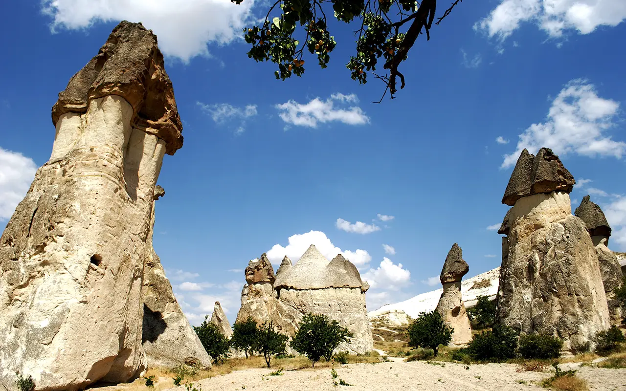 Red Tour with Lunch & Museum Tickets Small Group - Image 7