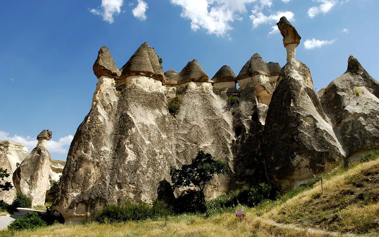 Red Tour with Lunch & Museum Tickets Small Group - Image 8